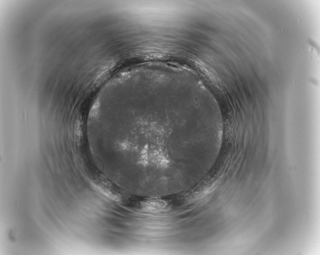 X0000093740215200710301111