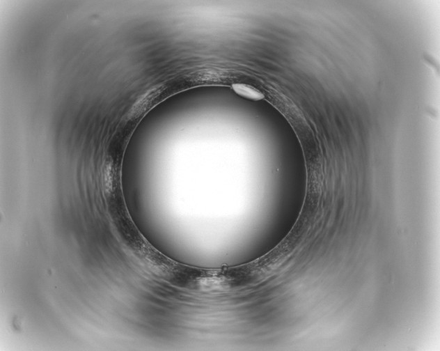 X0000093740216200710301111