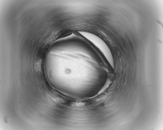 X0000093740217200710301111