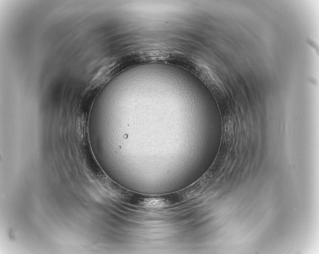 X0000093740218200710301111