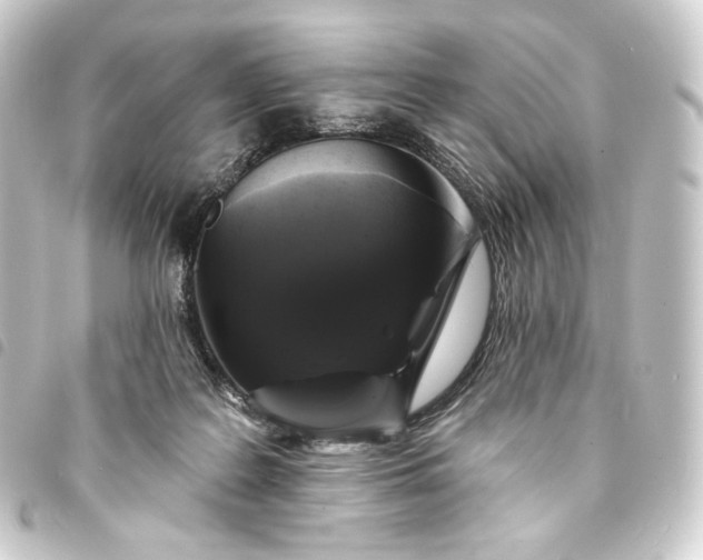 X0000093740219200710301111