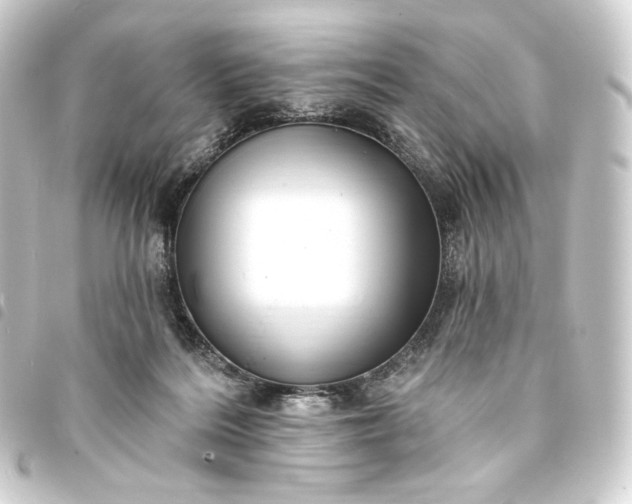 X0000093740220200710301111