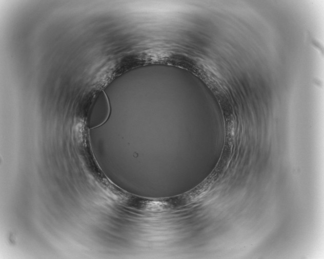 X0000093740222200710301111