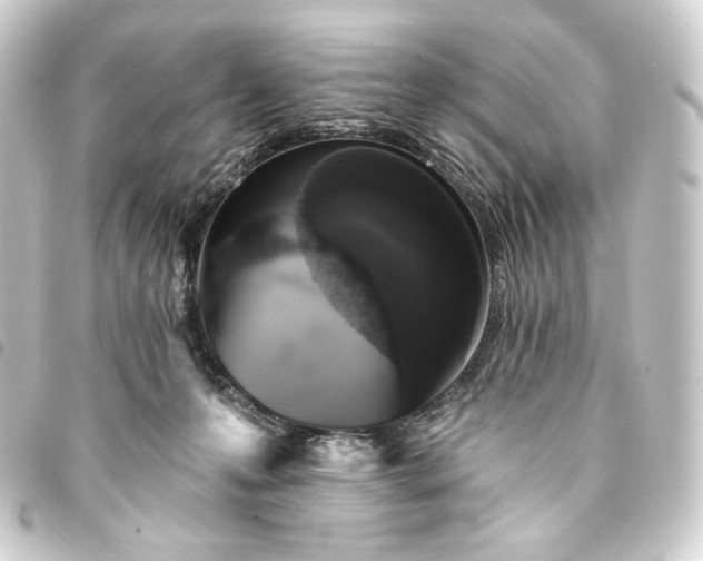 X0000093740223200710301111