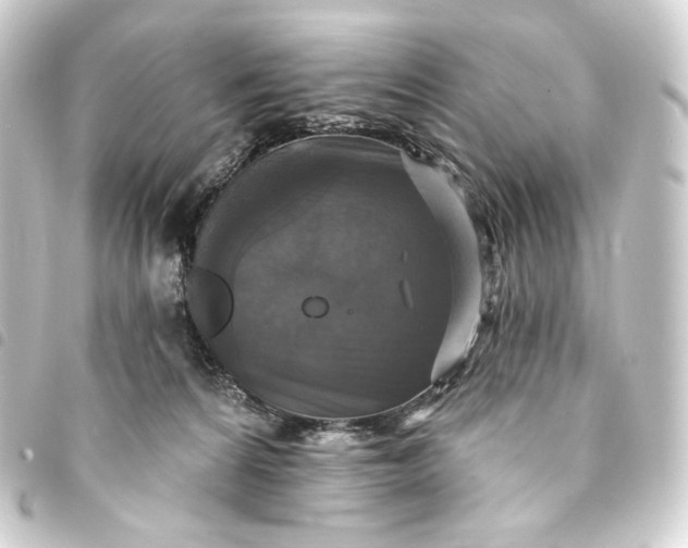 X0000093740224200710301111