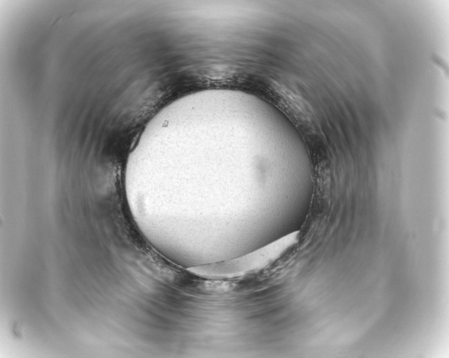 X0000093740225200710301111