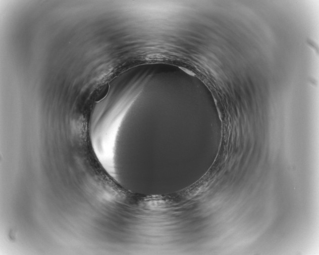 X0000093740228200710301111