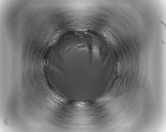 X0000093740229200710301111