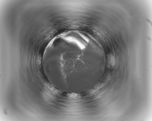 X0000093740230200710301111