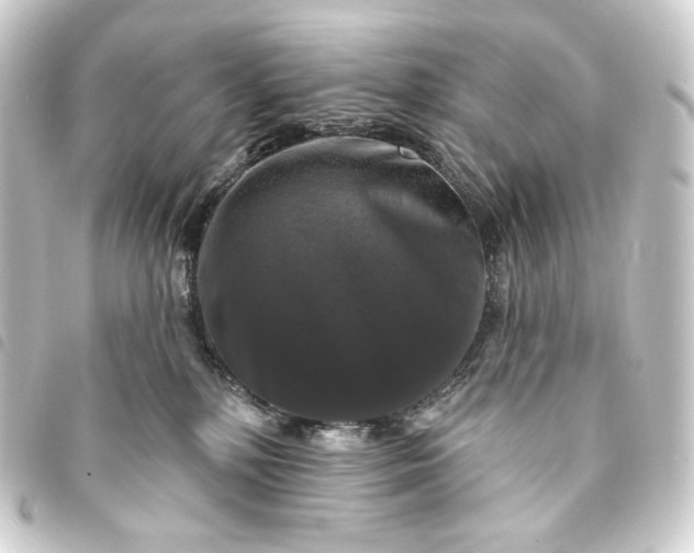 X0000093740232200710301111