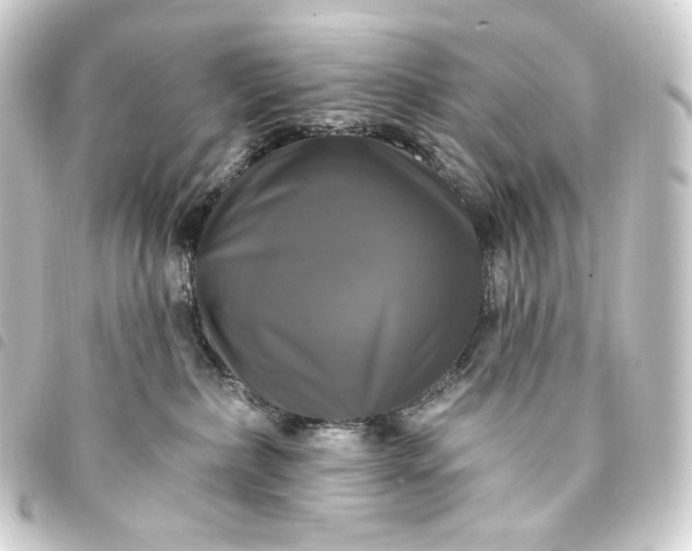 X0000093740236200710301111