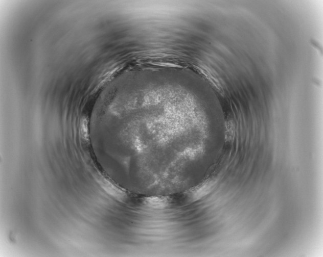 X0000093740238200710301111