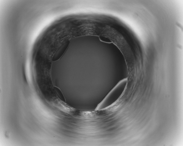 X0000093740239200710301111