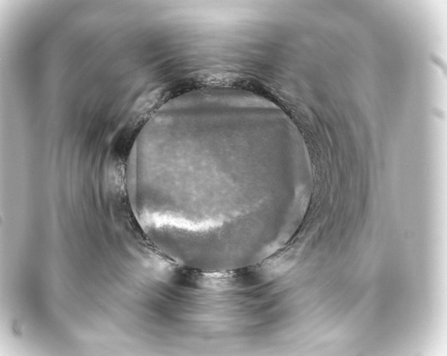 X0000093740240200710301111