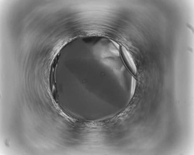 X0000093740241200710301110