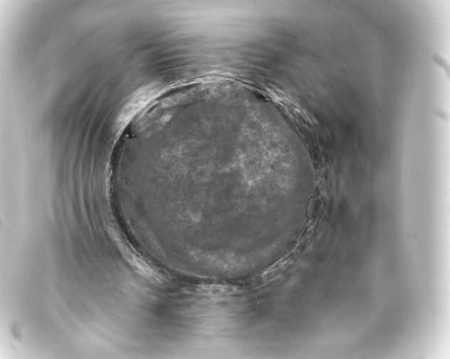 X0000093740242200710301110