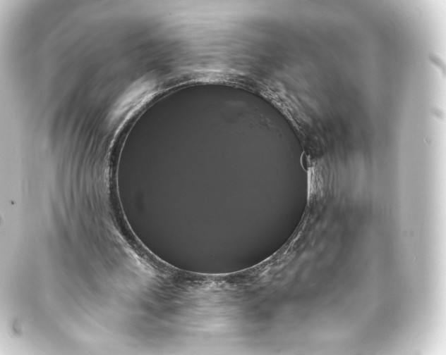 X0000093740243200710301110