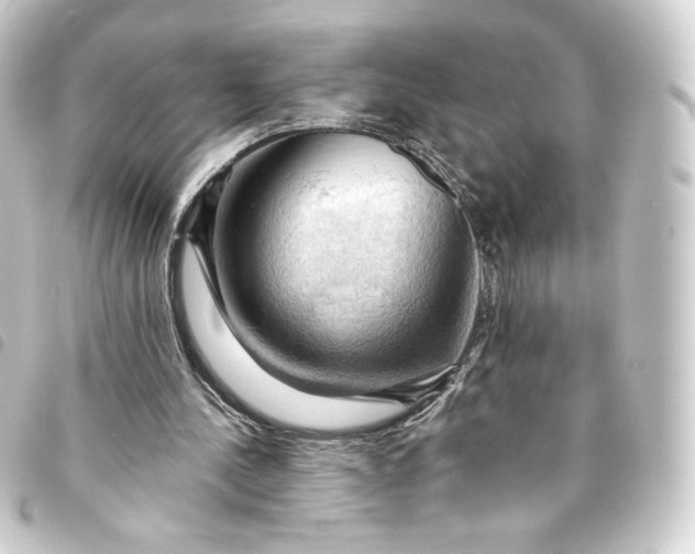 X0000093740244200710301110