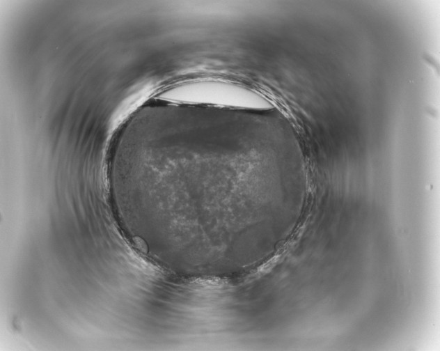 X0000093740245200710301110