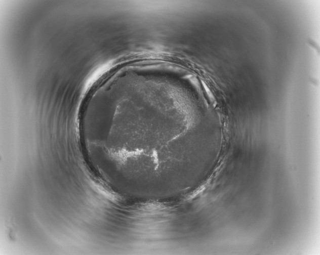 X0000093740246200710301110