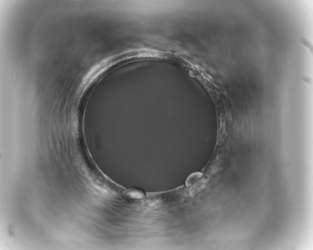 X0000093740247200710301110