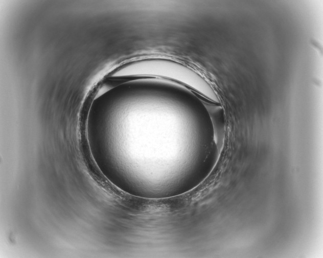 X0000093740248200710301110