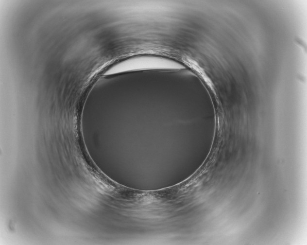 X0000093740249200710301110