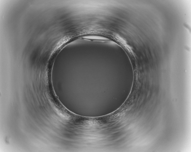 X0000093740250200710301110