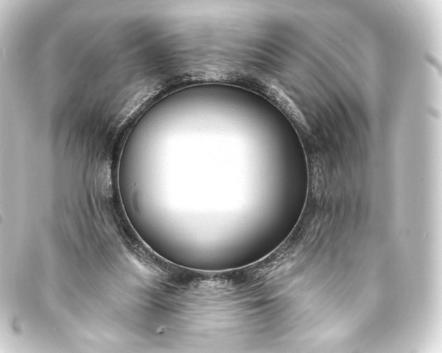 X0000093740251200710301110