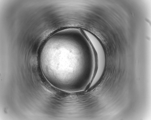 X0000093740252200710301110