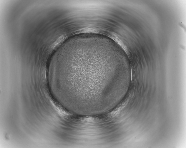 X0000093740253200710301110