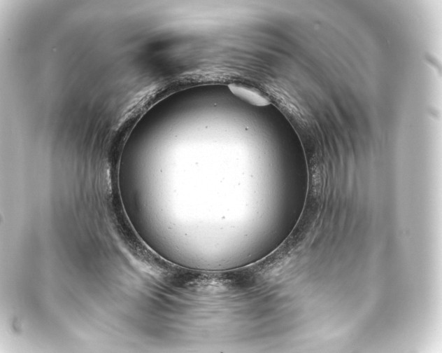 X0000093740254200710301110