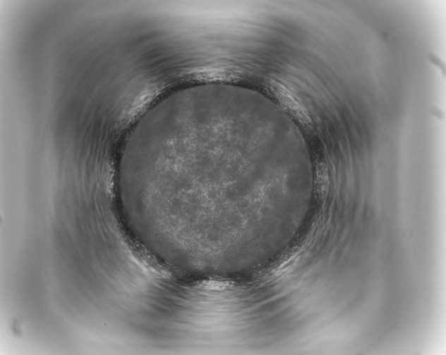 X0000093740255200710301110