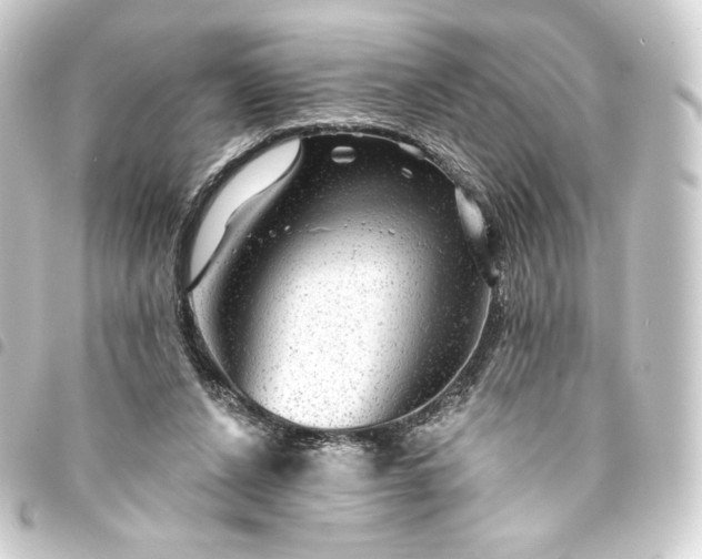 X0000093740256200710301110