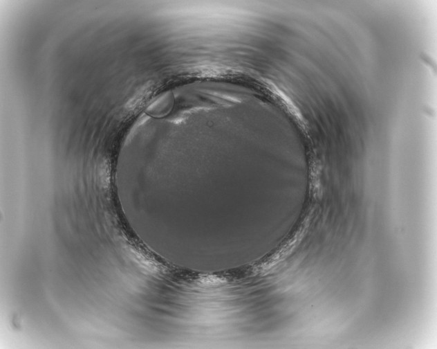 X0000093740257200710301110