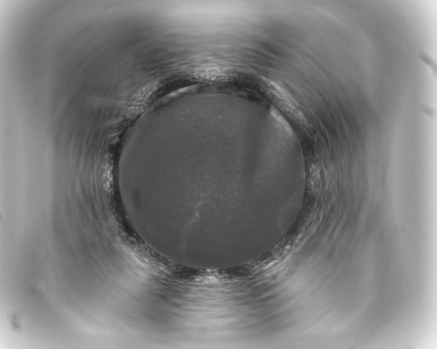 X0000093740259200710301110