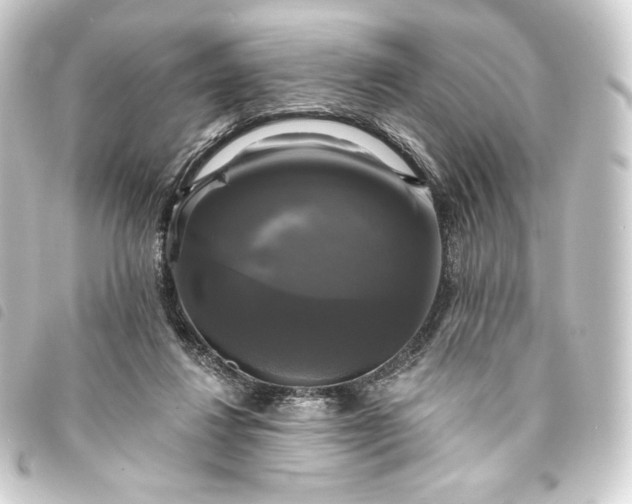 X0000093740260200710301111