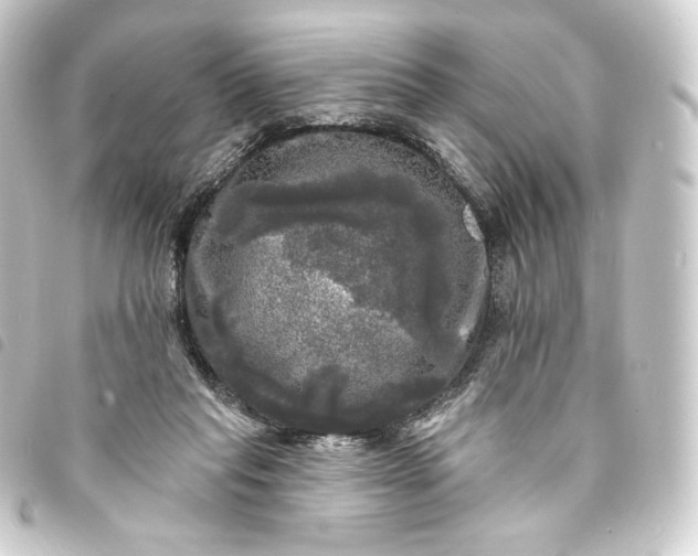 X0000093740261200710301111