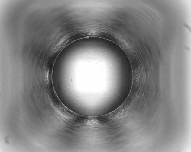 X0000093740262200710301111