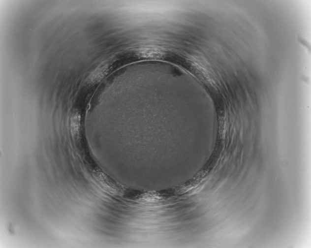 X0000093740263200710301111