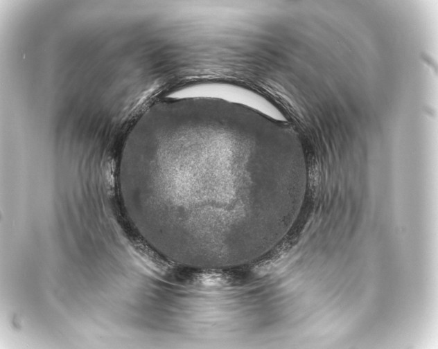 X0000093740264200710301111