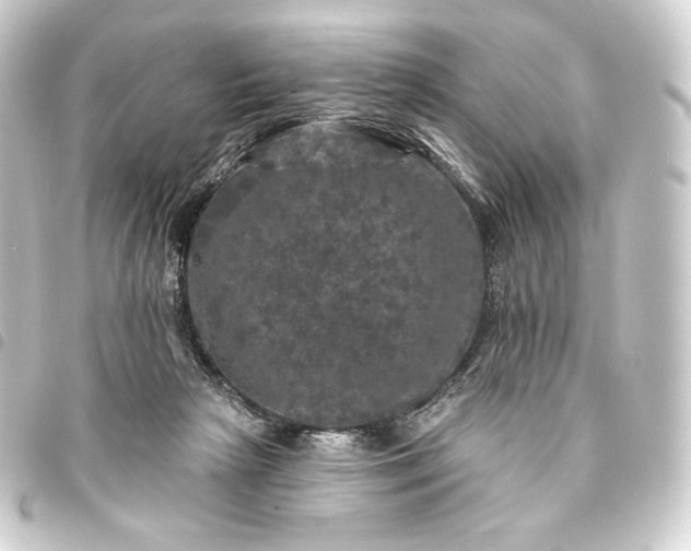 X0000093740265200710301111