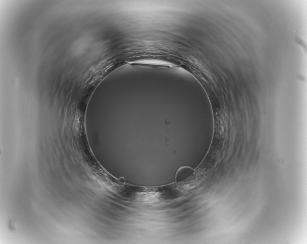 X0000093740266200710301111