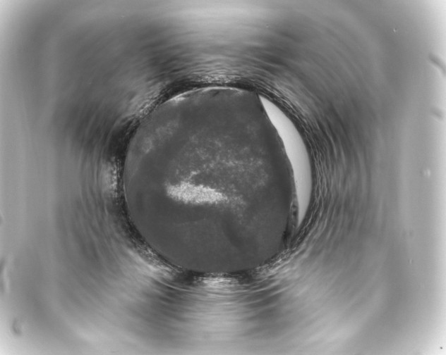 X0000093740268200710301111