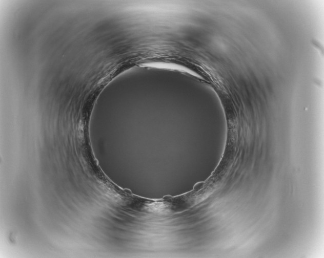 X0000093740269200710301111