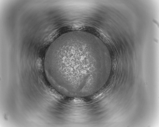 X0000093740270200710301111