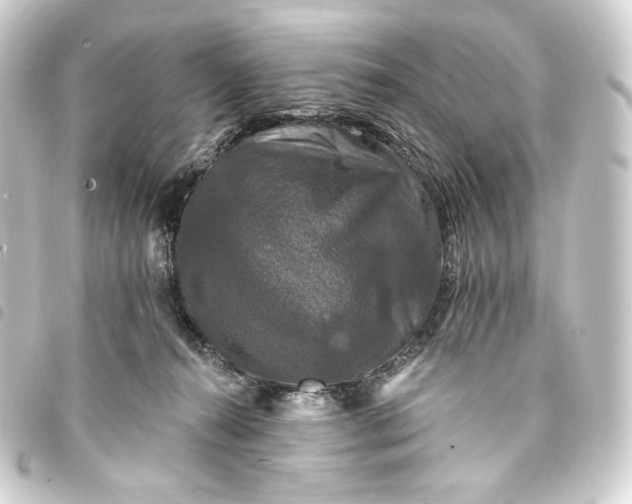 X0000093740272200710301111