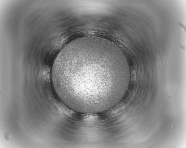 X0000093740274200710301111