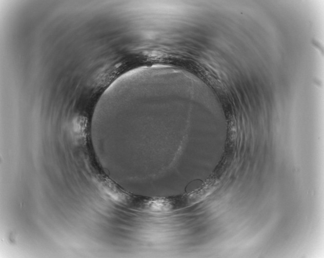 X0000093740275200710301111