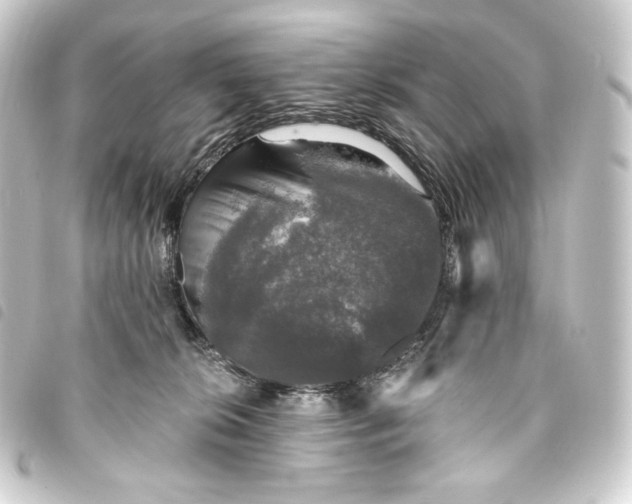 X0000093740276200710301111